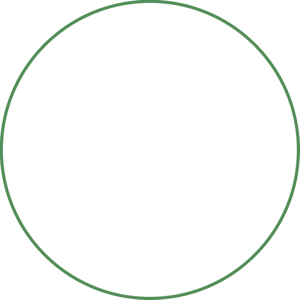 GIF Image